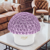 Bella Eternity Roses-Last 3 Years